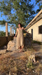 Patterned light brown